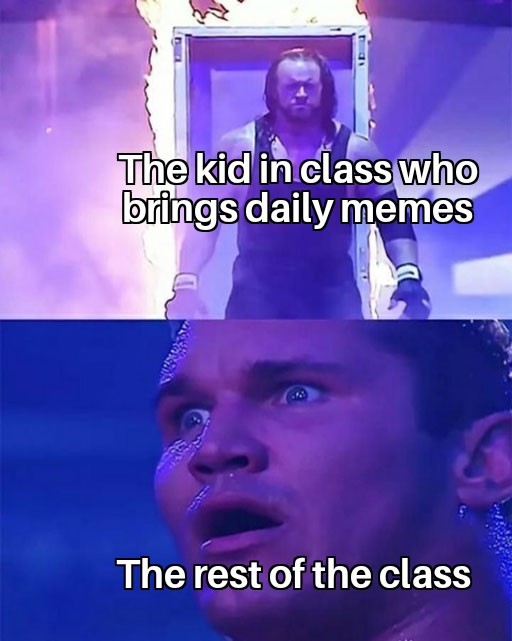 Daily Memes