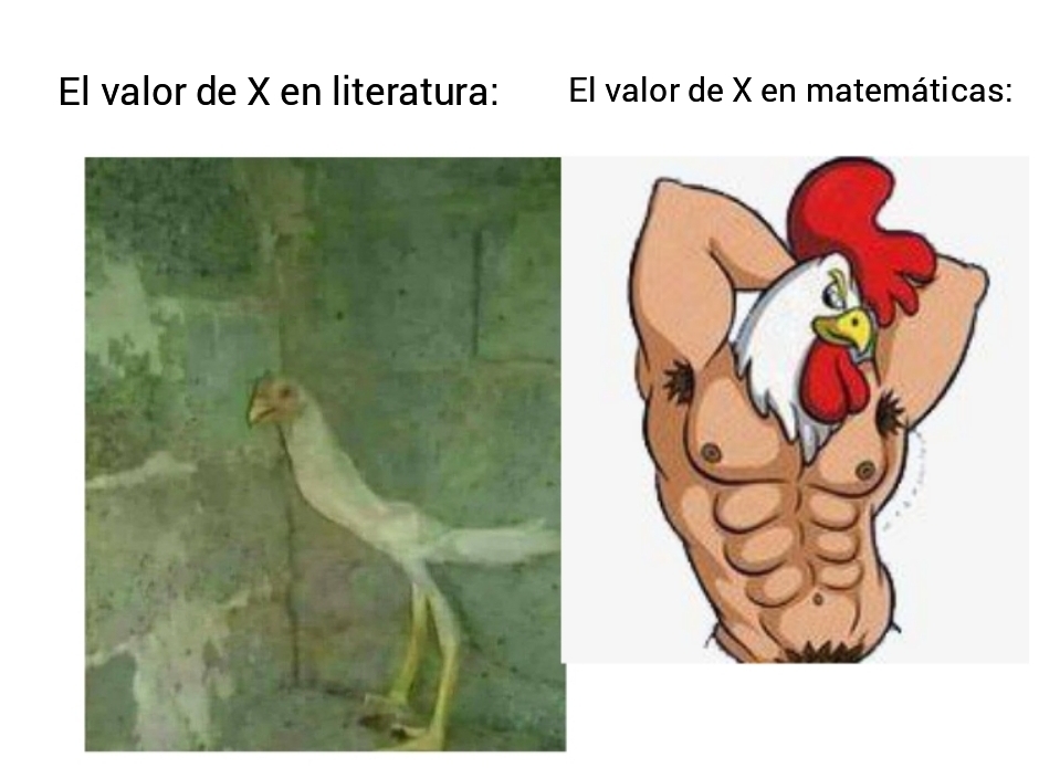 Pollo - meme