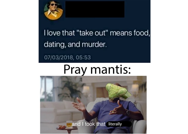 pray mantis - meme