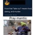 pray mantis