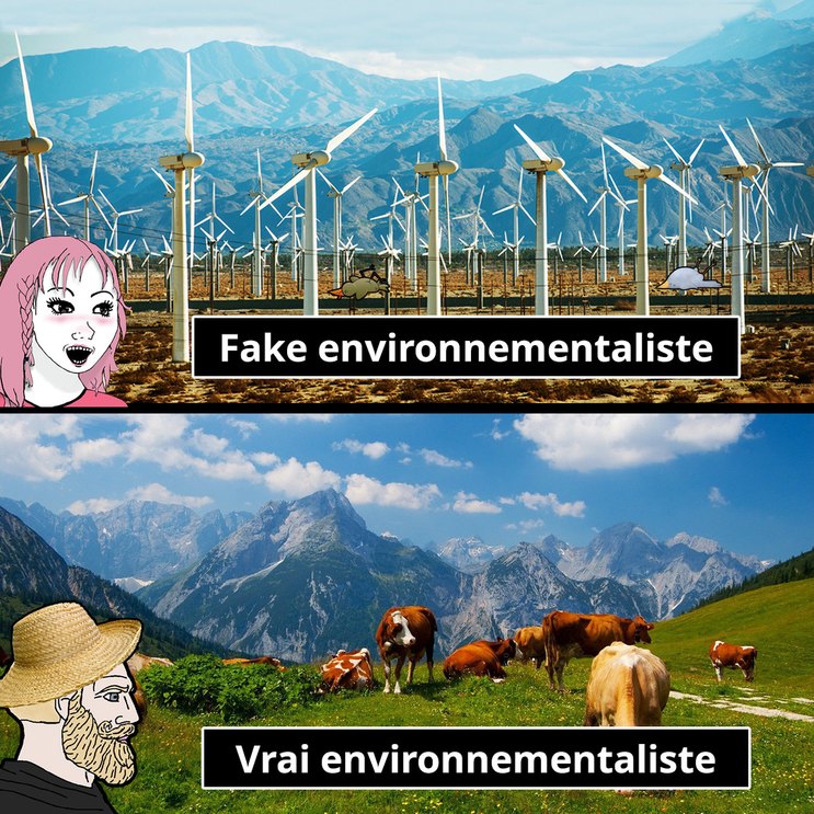 Environnementaliste ou pas - meme