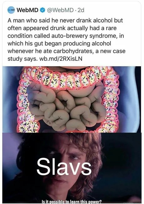 SLAVS - meme