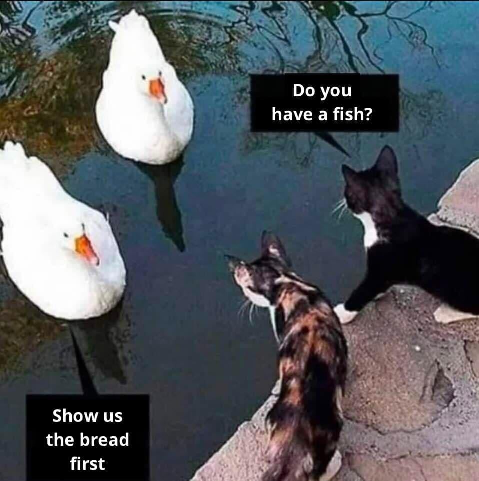 Negotiation - meme