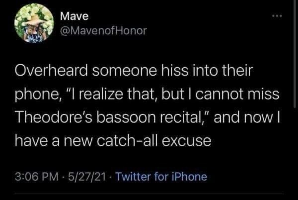 Bro I can't miss Theodore's bassoon recital - meme