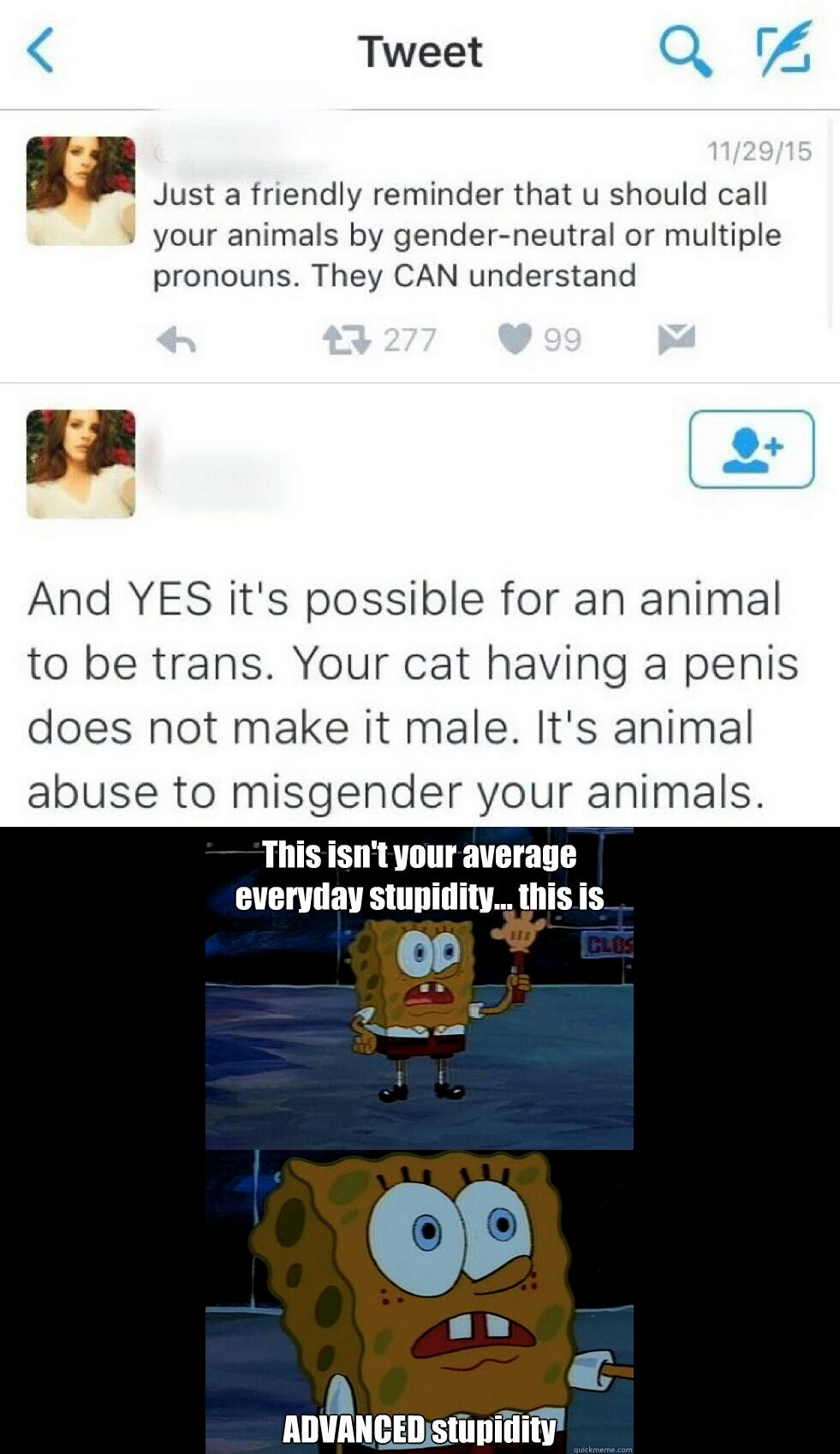 Animal gender - meme