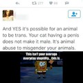 Animal gender