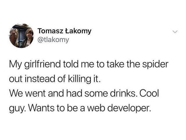 My friend the spider is a web developer - meme