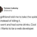 My friend the spider is a web developer