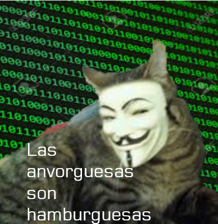 Datos inimaginables  con el gato de anonymus - meme