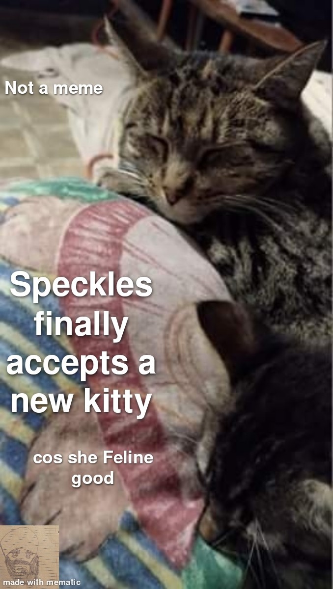 Speckles and her new bro Flick - meme