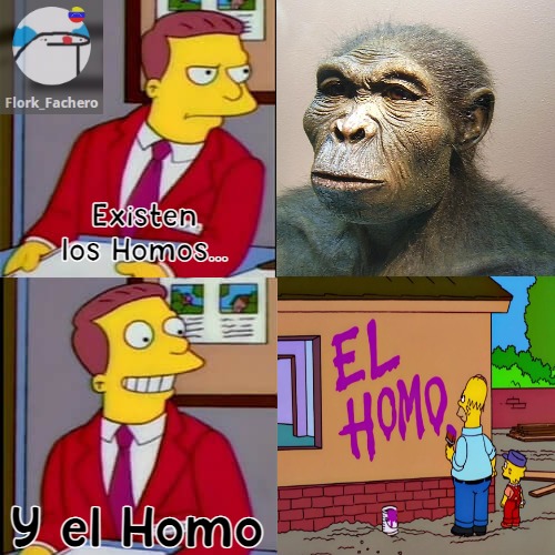 Biologiadroid: La palabra "Homo" significa Hombre, Ejemplo: Homo Sapiens "Hombre Sabio" - meme