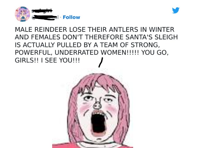 Another example of a "woman" on tw*tter. - meme
