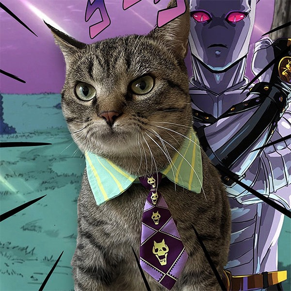 angry cat in 2023  Cat emoji, Jojo bizzare adventure, Cats