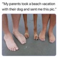 Beach vacation with the doggo
