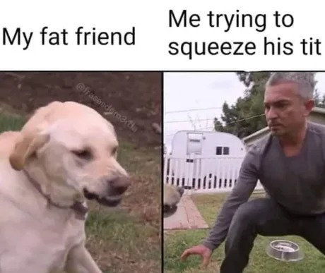 Fat friend meme
