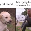 Fat friend meme