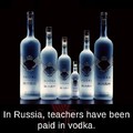 What else do you pay a Russian teacher....