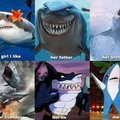 Shark love story