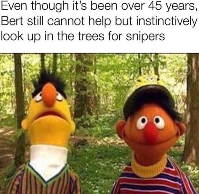 WeLl SnIpErS aRe Op - meme