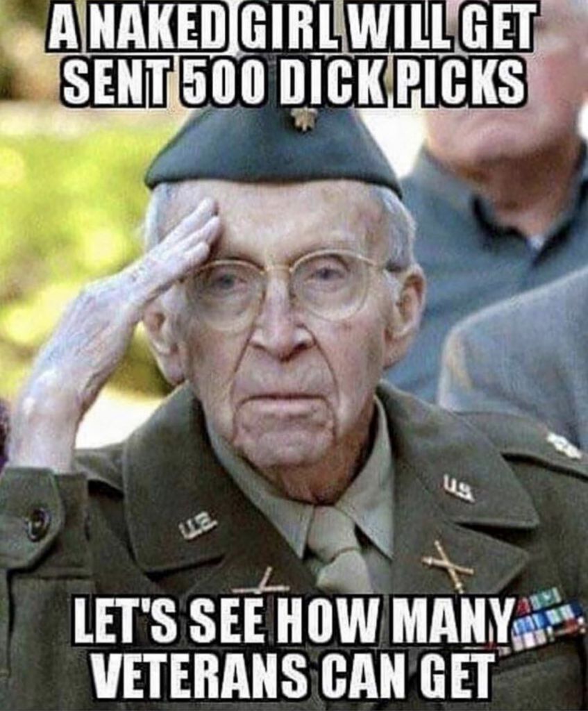dongs in a veteran - meme