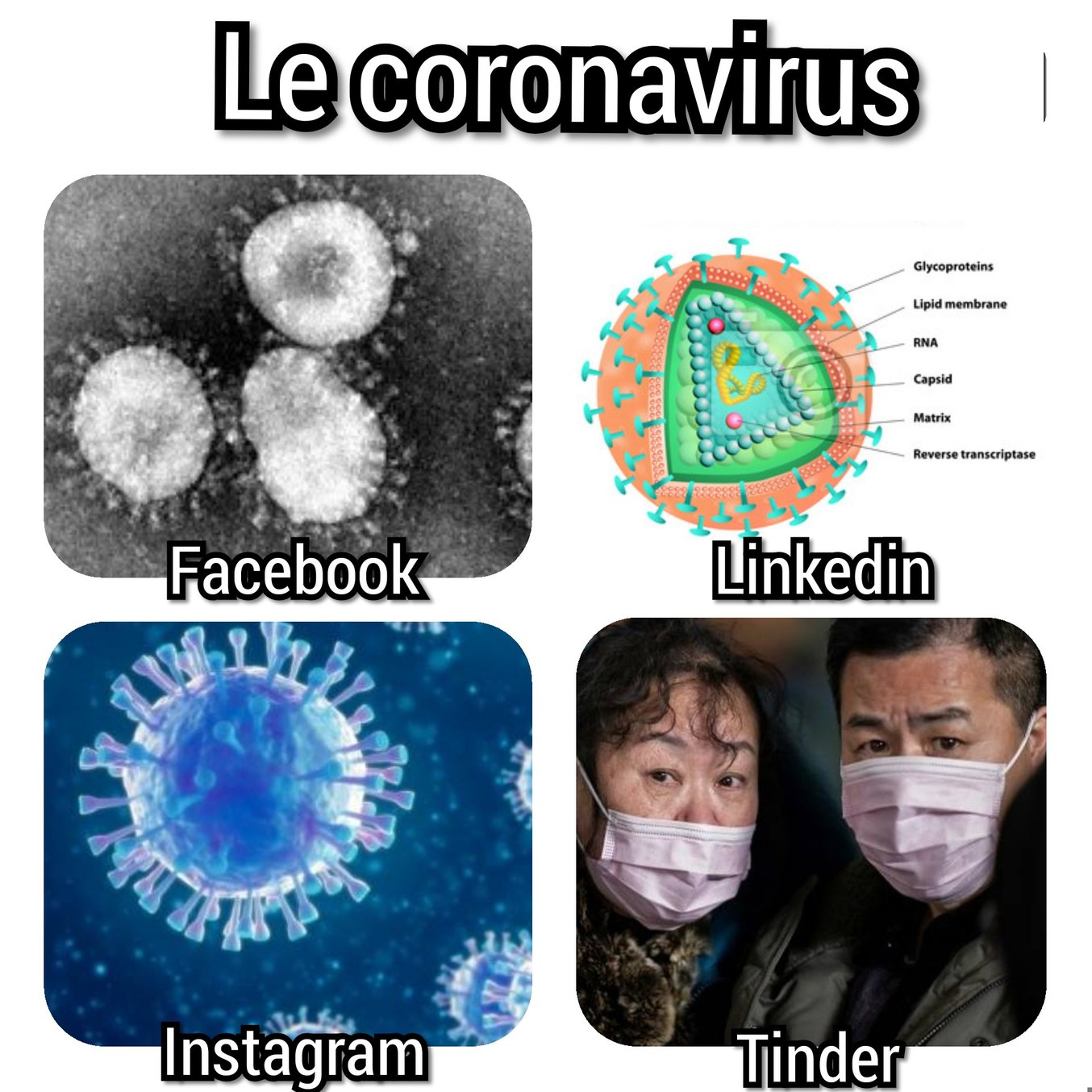 Le coronavirus - meme
