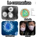Le coronavirus