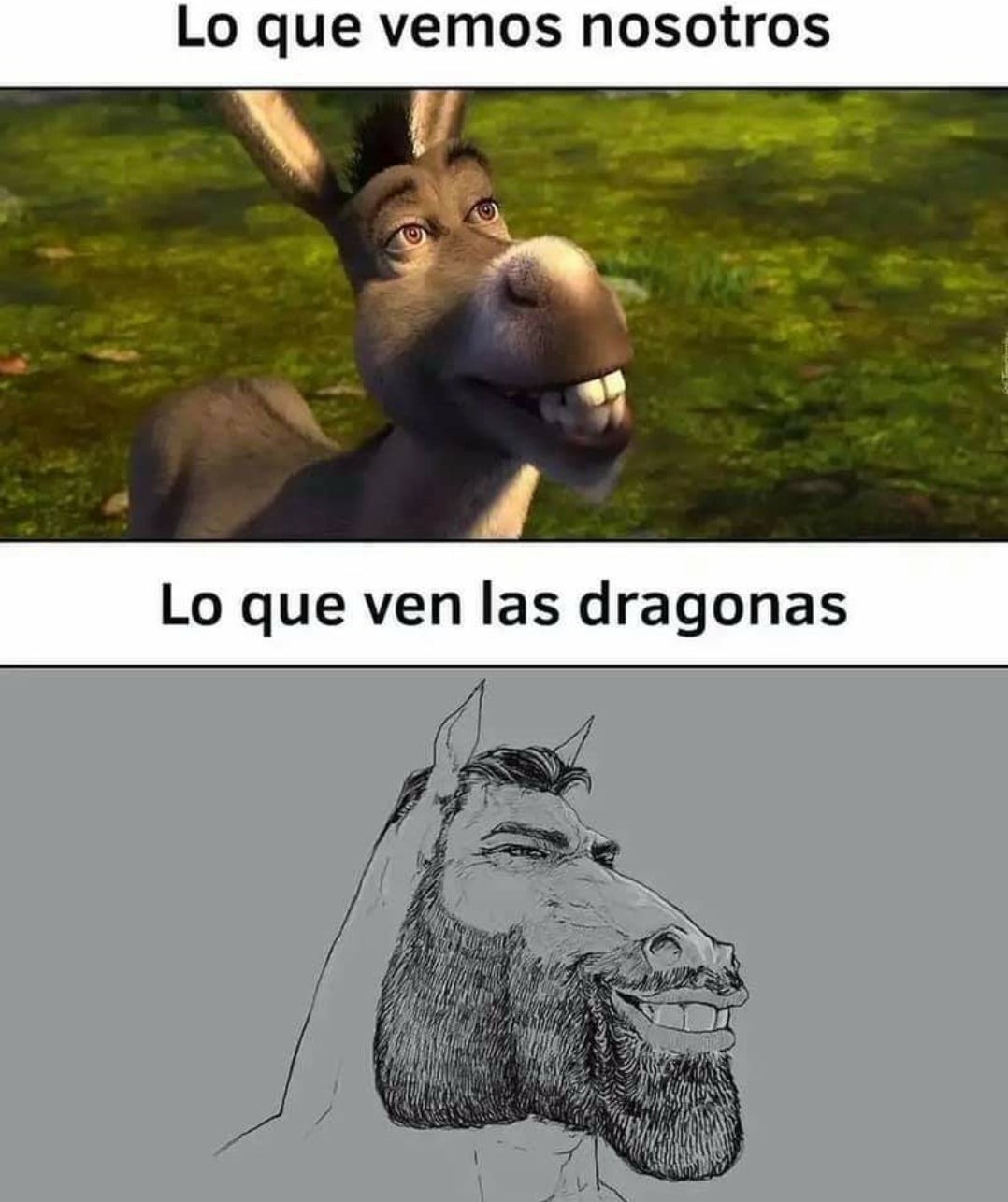 Meme do burro shrek