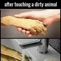 Remember to wash your hands after touching a dirty animal