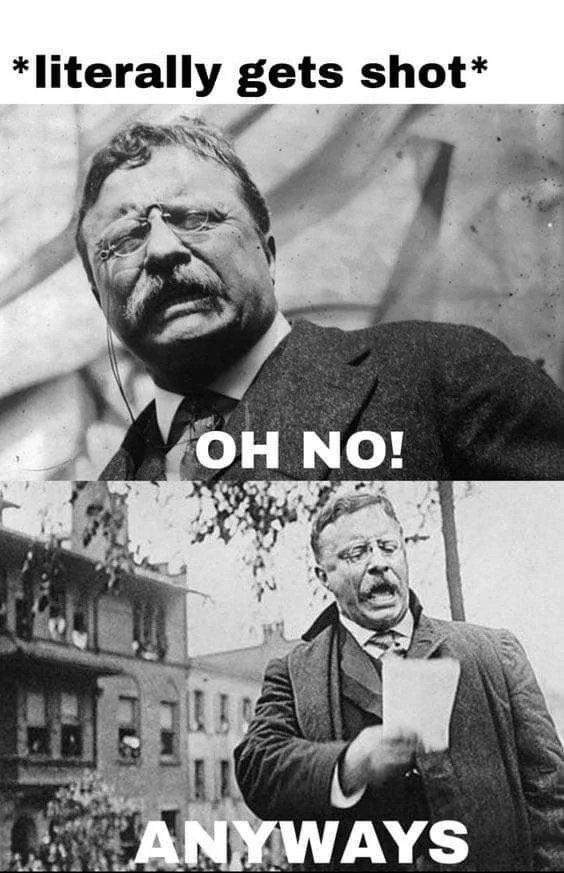 Teddy Roosevelt be like - meme