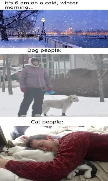 Cat people during winter - meme