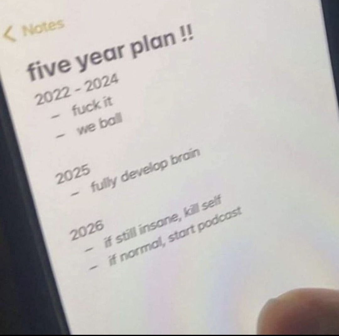 Five year plan!! - meme
