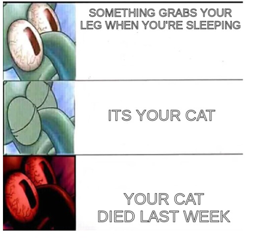 Scary cat meme
