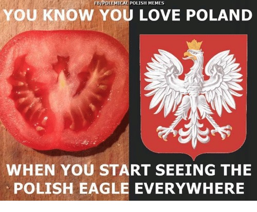 Poland Eagle everywhere - meme