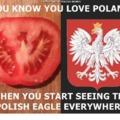 Poland Eagle everywhere