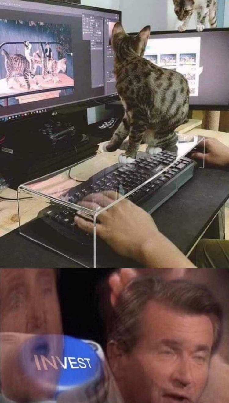 Anticats keyboard - meme
