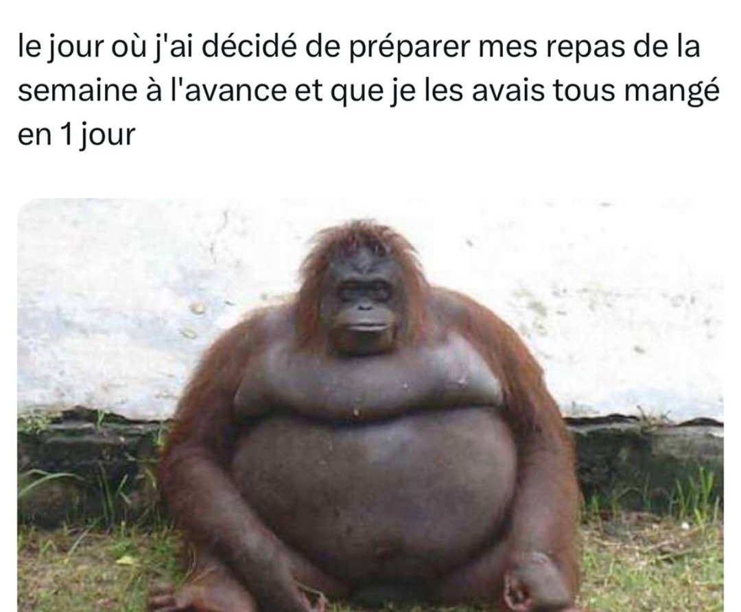 j'ai meal preppé pour la semaine et tout a disparu en 24h - meme