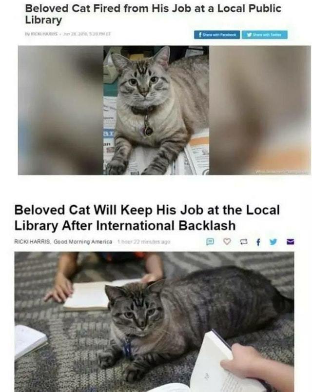 Beloved cat will keep his job - meme