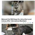 Beloved cat will keep his job