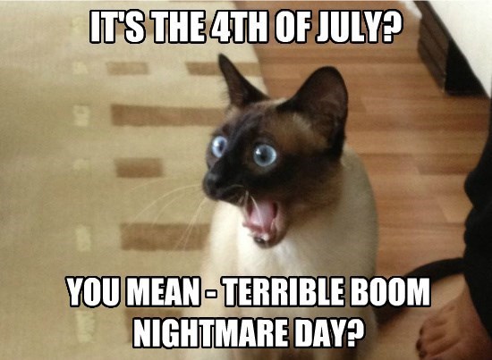 Happy 4th of July :) - meme