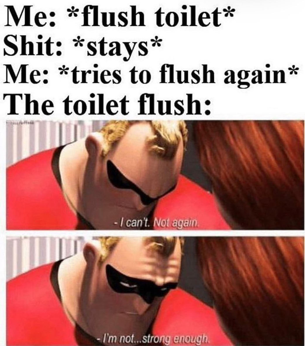 RIP toilet... - meme