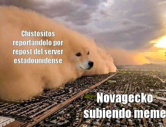 Novagecko gei - meme