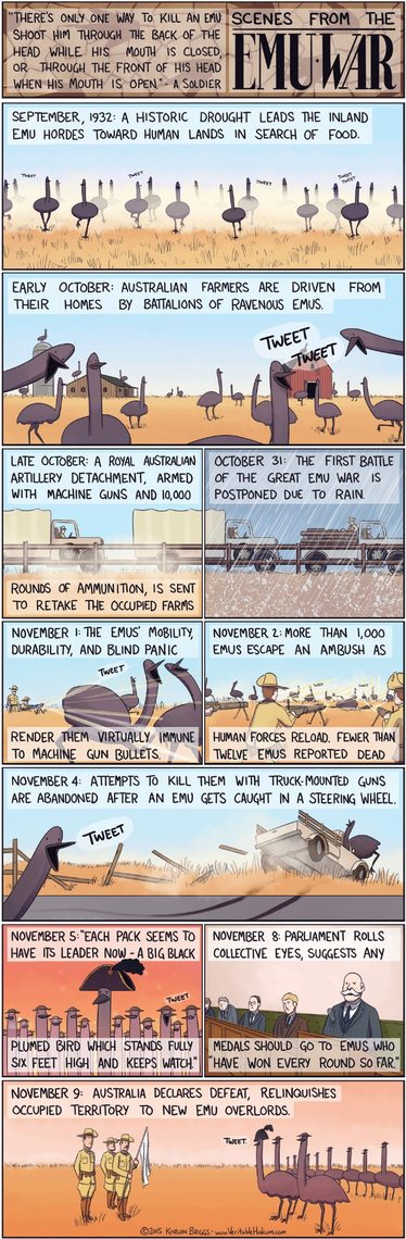 The Great Emu War - meme