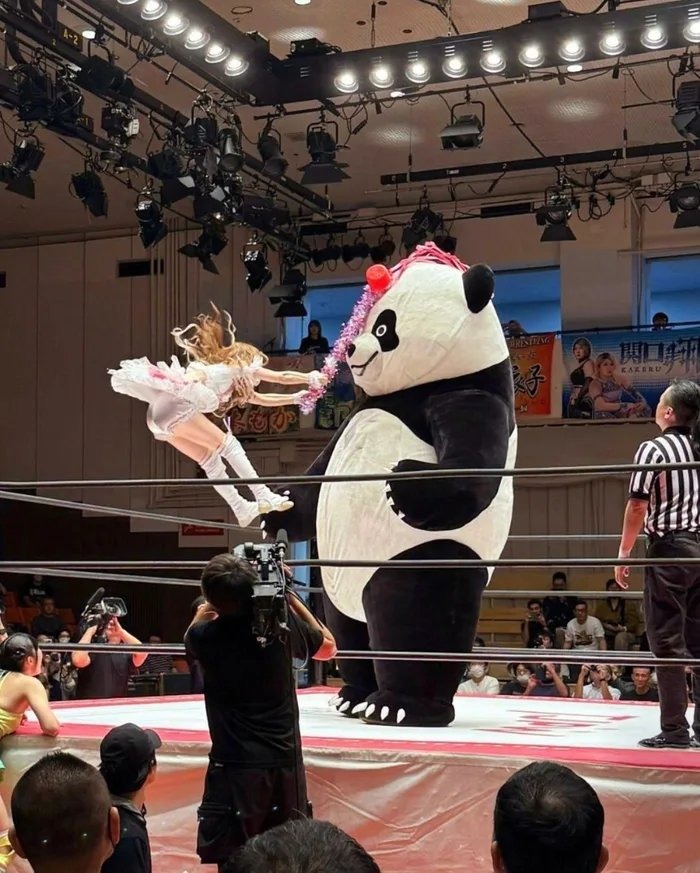 If Japanese pro wrestling is fake, explain THIS - meme