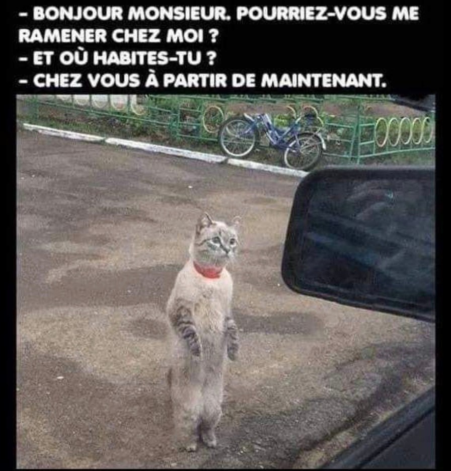 Moi après 2 textos sympas: j’habite chez toi maintenant - meme