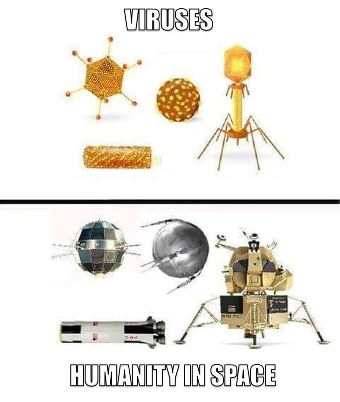 humanity - meme