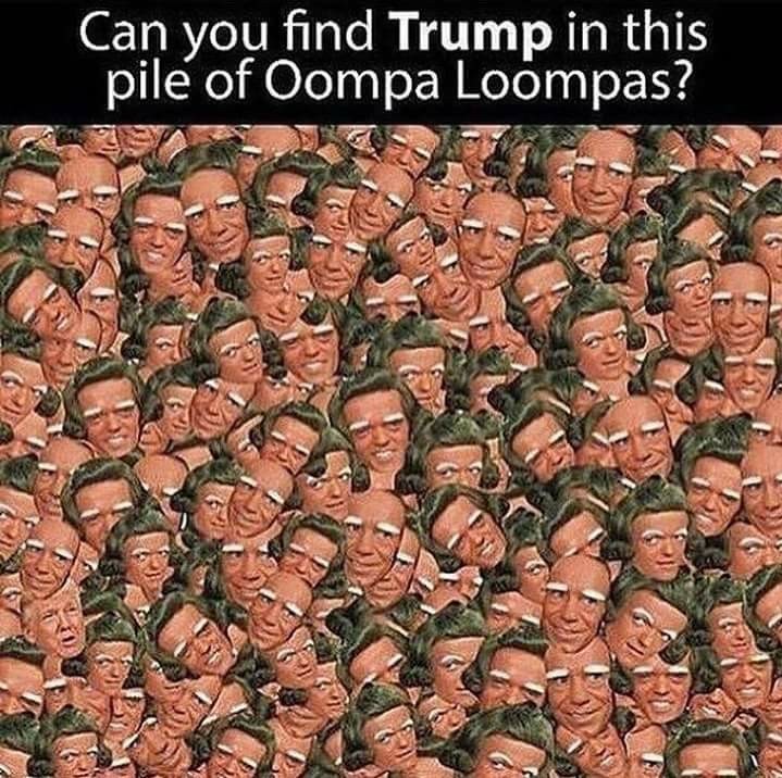 Find trump - meme
