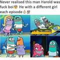 Harold the fuck boy