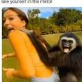Monkey fuck