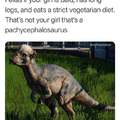 Fellas if your girl is bald, has long legs and is vegetarian she might be a pachycephalosaurus
