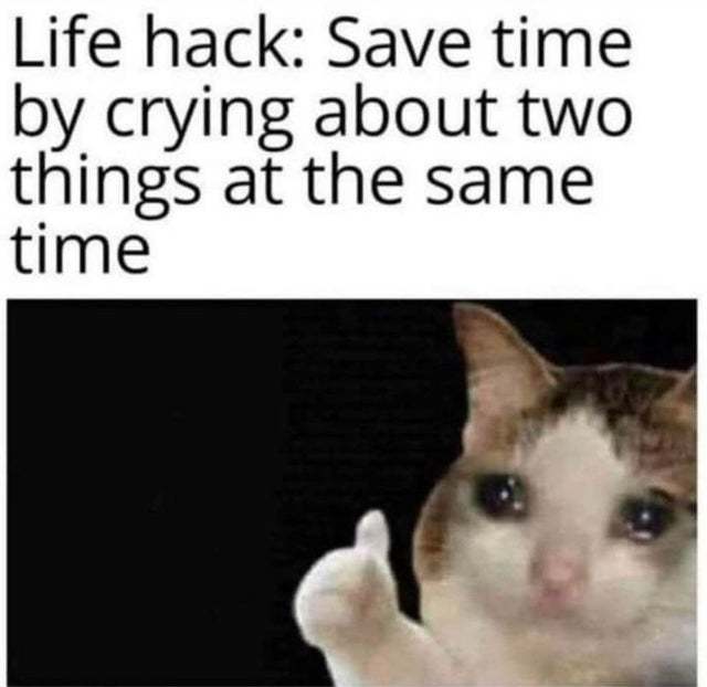Hack: save time by crying about two things at the same time - meme